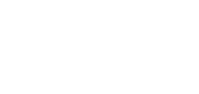 logo_maks.png